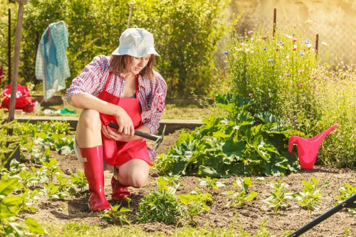 A woman dressed in a red apron and matching rubber boots is kneeling in a garden, tending to small vegetable plants in tilled soil beds. She is holding a gardening trowel with one hand while carefully working around the plants, which are arranged in neat rows. In the background, there are lush green foliage, a variety of flowering plants with purple and yellow blooms, and a wooden fence that encloses the garden area, suggesting a private outdoor space in East Ham. To the side, a pink watering can and a garden rake are visible on the ground, indicating ongoing garden maintenance. The garden features a mix of cultivated vegetable beds and surrounding natural elements, illuminated by sunlight, under clear weather conditions, creating a vibrant and healthy outdoor environment suitable for gardening services provided by Lawn Mowing East Ham. The scene portrays a well-maintained backyard garden with a diverse array of plants, prepared for ongoing cultivation and care, characteristic of a typical urban gardening setting in east London postcode area.