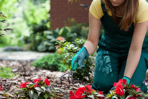 Different tools used for hedge trimming in East Ham