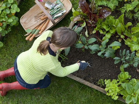A woman with brown hair tied back, dressed in a lime green sweater, dark jeans, and red rain boots, is tending to a vegetable garden in an outdoor backyard. She is kneeling on a well-maintained lawn and using her right hand to water or prune leafy green plants within a rectangular wooden raised bed. The garden features a variety of lush, healthy plants including dark-leaved cabbages, bright green lettuce, and other vegetable and herb plants, arranged in neat rows along the length of the garden bed. Surrounding the garden are other plants and shrubs, with dark soil visible in the raised bed and vibrant greenery in the background. The scene is set in natural daylight under overcast or diffused light conditions, with the garden appearing well-tended and lush, fitting within a typical UK outdoor space that could be serviced by Lawn Mowing East Ham for lawn and garden maintenance.